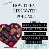 SUSTAINABILITY ACTION TIPS TO BUY THE BEST VALENTINE'S DAY CHOCOLATE