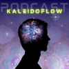 Kaleidoflow Podcast - Nik Žujo