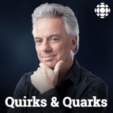 The Quirks & Quarks holiday book show! podcast episode