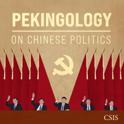 China's New Domestic Politics