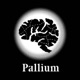 Pallium