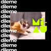 MIAU - Vlaicu Bunduchi