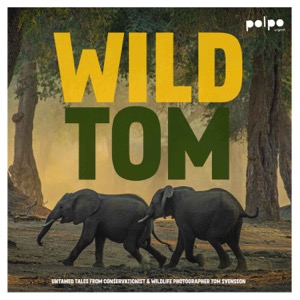Wild Tom
