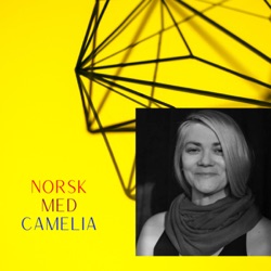 Learn Norwegian/Norsk med Camelia