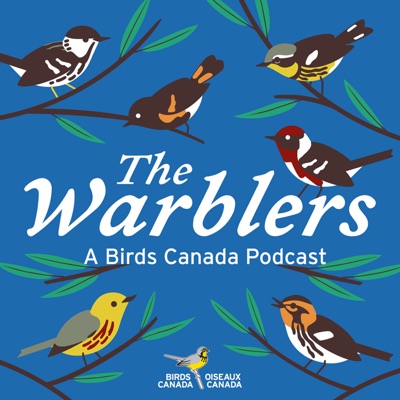 The Warblers by Birds Canada:Andrea Gress for Birds Canada