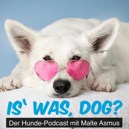 Is%27 was, Dog?
