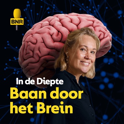 In de Diepte: Baan door het Brein:BNR Nieuwsradio