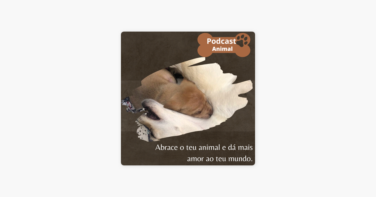 â žpodcast Animal On Apple Podcasts â žpodcast Animal On Apple Podcasts