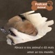 Podcast Animal