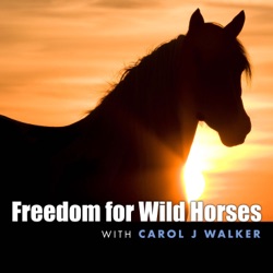 30. Following Oregon’s Wild Horses: Interview with Mustang Meg