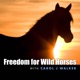 Freedom for Wild Horses