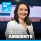 Ecuador: sigue la explotación petrolera en Yasuní a pesar del voto de la consulta popular