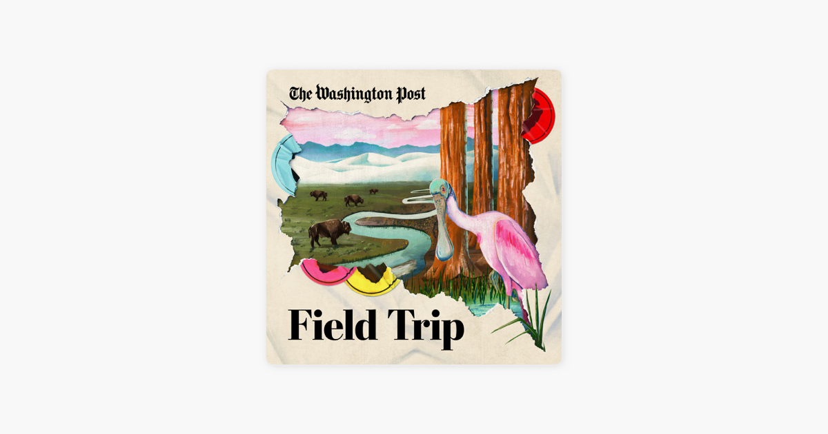 field trip podcast