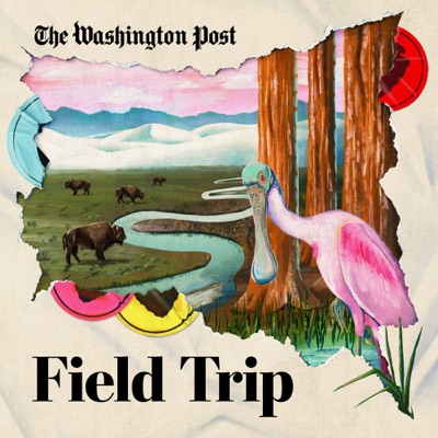 Field Trip:The Washington Post