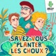 Savez-vous planter les choux ?