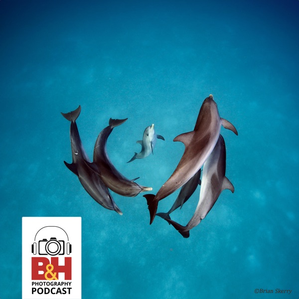 Why Oceans Matter: Underwater Photographer Brian Skerry at Bild photo