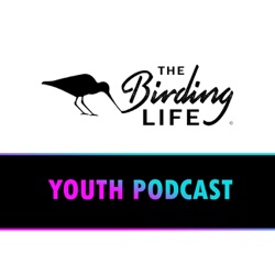 The Birding Life Youth Podcast