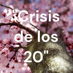 "Crisis de los 20"