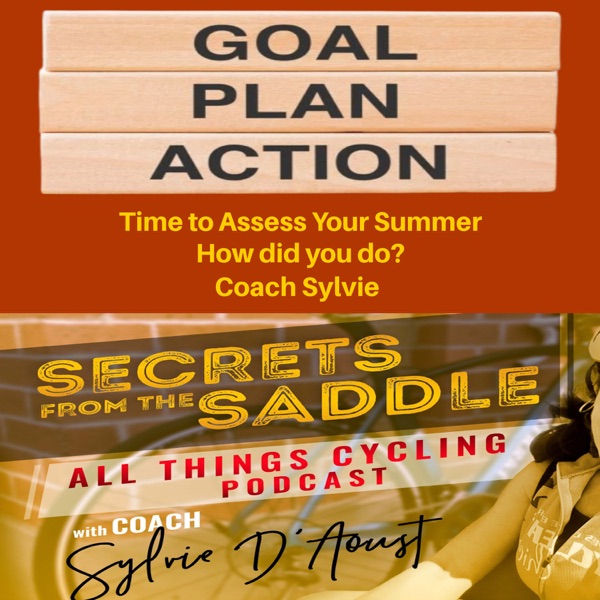 345. Time to Assess Your Summer - How did you do? | Coach Sylvie photo