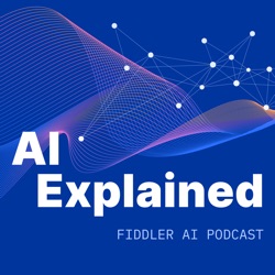 Legal Frontiers of AI with Patrick Hall