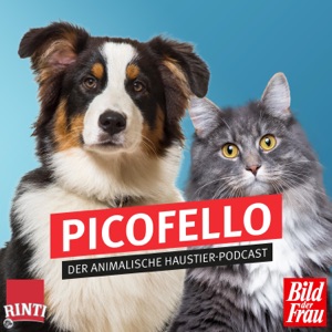 Picofello – der animalische Haustier-Podcast
