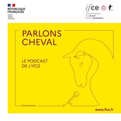 Au cœur des courses | Relations entre bien-être animal et performance - Alice Ruet