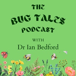 The Bug Tales Podcast 
