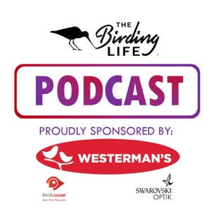 The Birding Life Podcast