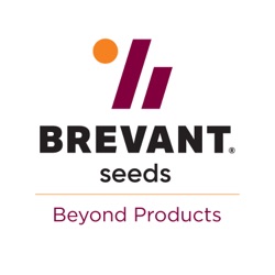 Brevant seeds Beyond Products
