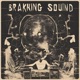 破音聊天室BRAKKING SOUIND