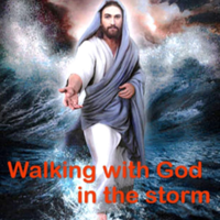 Interview with James Tate