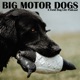 Big Motor Dogs