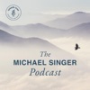 Michael Singer Podcast