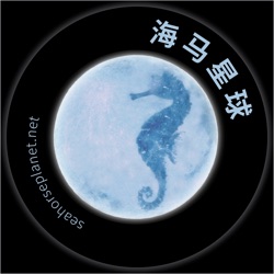 seahorseplanet.net