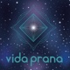 Vida Prana