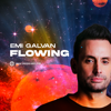 Flowing - Emi Galvan