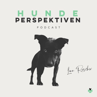 Hundeperspektiven Hundeperspektiven