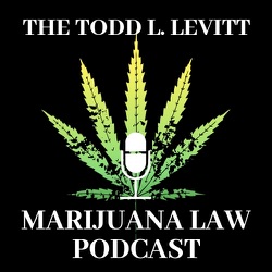 The Todd L. Levitt Law Podcast