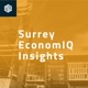 Surrey EconomIQ Insights