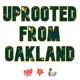 Uprooted From Oakland