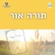 פרשת בהר - 