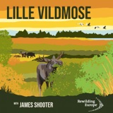 #9 Lille Vildmose - Denmark 🇩🇰