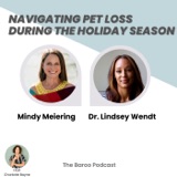 Navigating Pet Loss During the Holidays: Coping Mechanisms and Healing Tools with Dr. Lindsey Wendt and Mindy Meiering