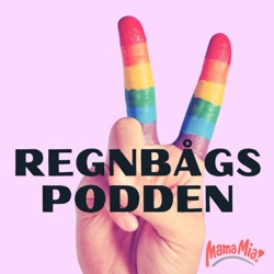 27. Drag Queens, regnbågsflaggor och mänskliga rättigheter