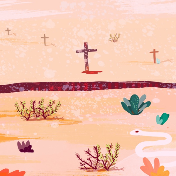 Cruces en el desierto photo