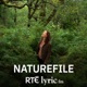 Naturefile - Seaside plants