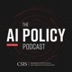 The AI Policy Podcast