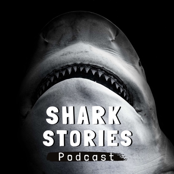 Shark Stories