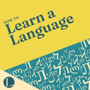 How to Learn a Language