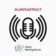 Aukraprat - med Grant og Kevin Solem i firmaet Bygg og data